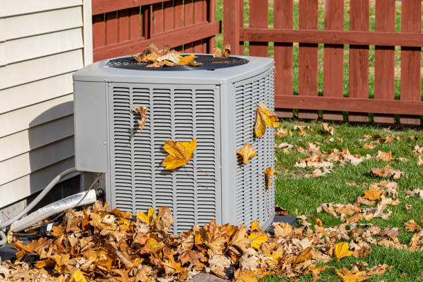 Best Best HVAC Companies  in Pipestone, MN
